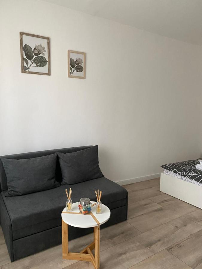 L&M Apartment Târgu-Mureş 外观 照片
